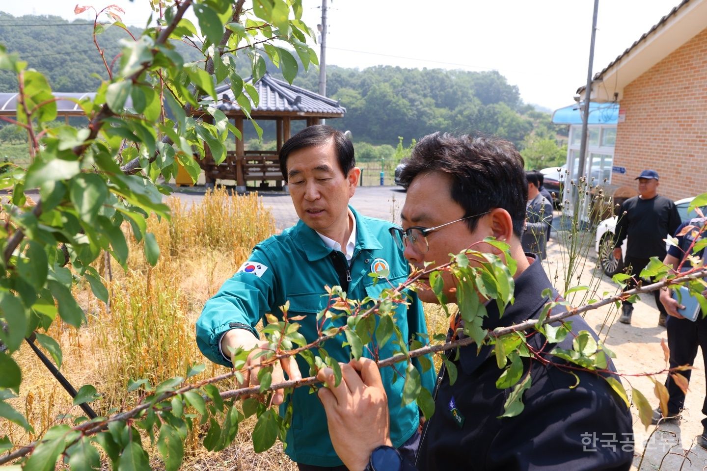 기사 사진