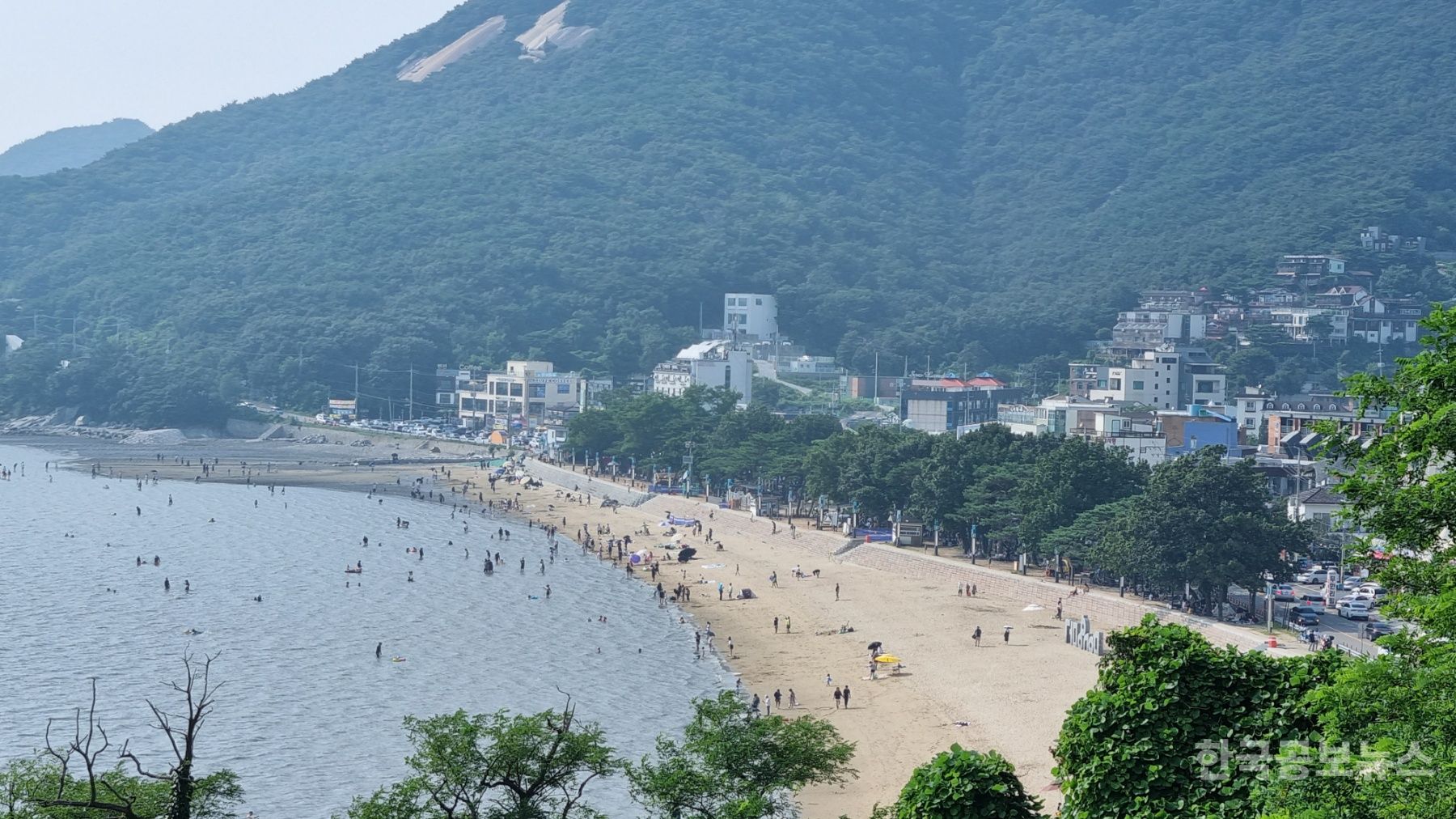 기사 사진