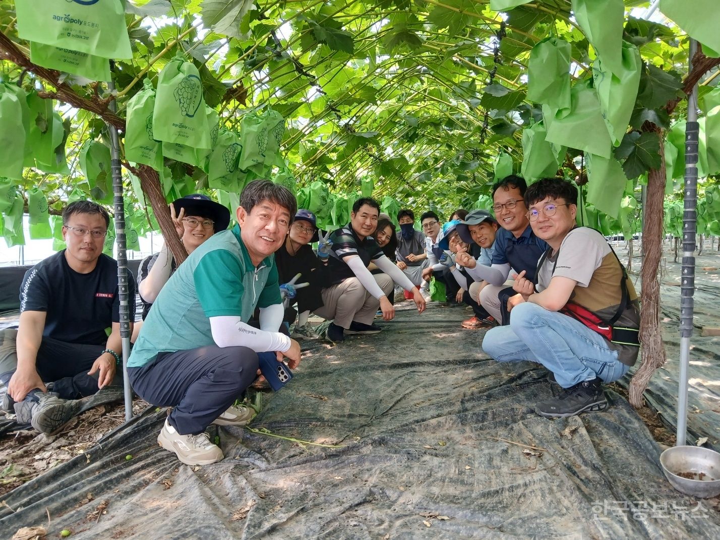 기사 사진