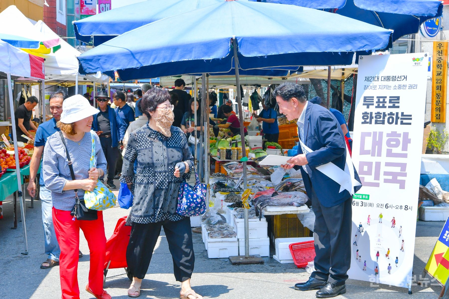 기사 사진