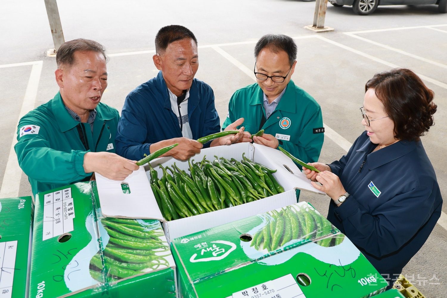기사 사진