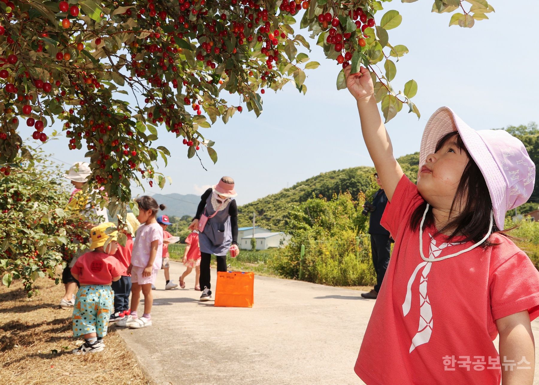 기사 사진