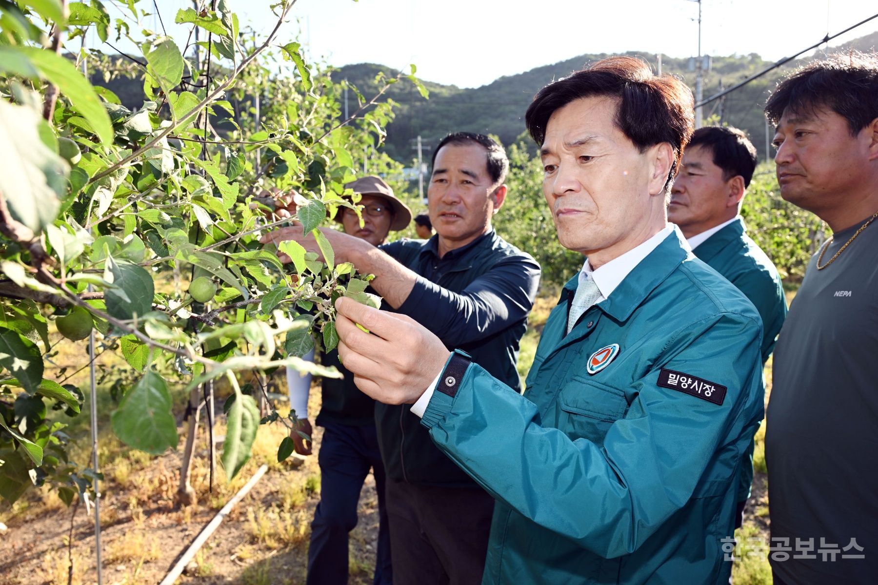 기사 사진