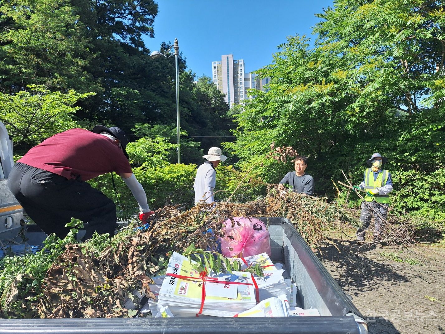 기사 사진