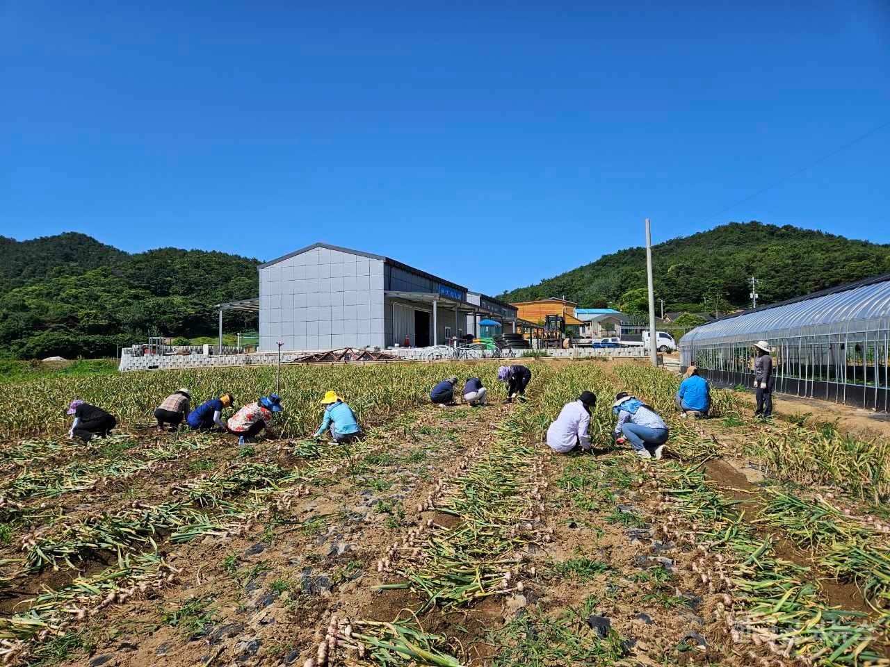기사 사진