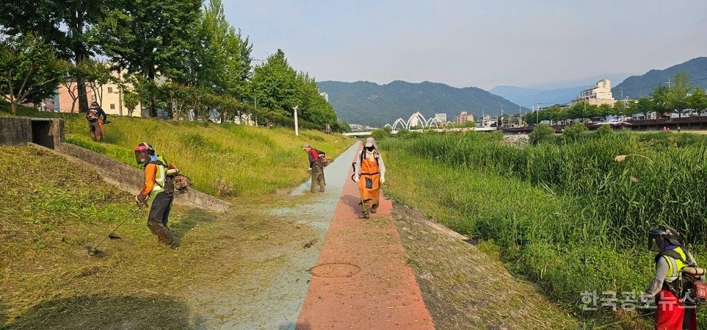 거창읍, 하천 및 도로변 풀베기 작업 실시 기사 사진