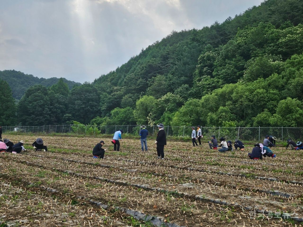 기사 사진