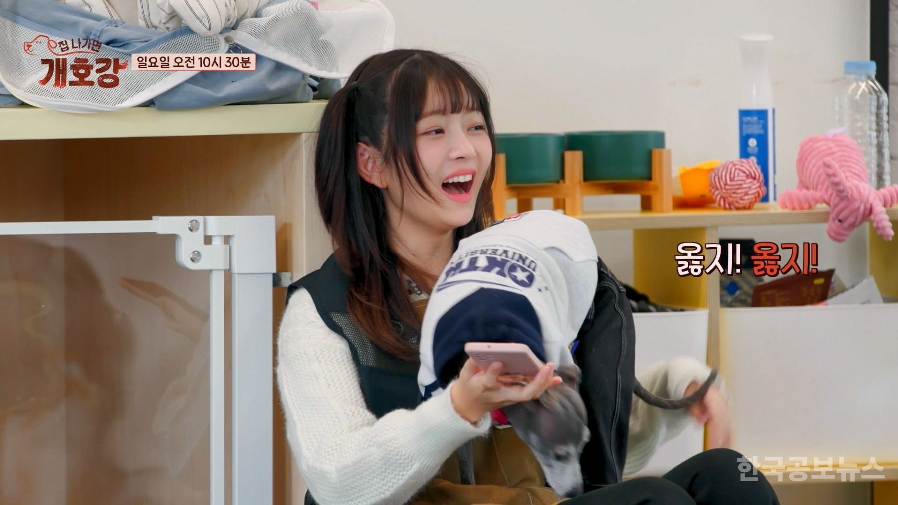 기사 사진