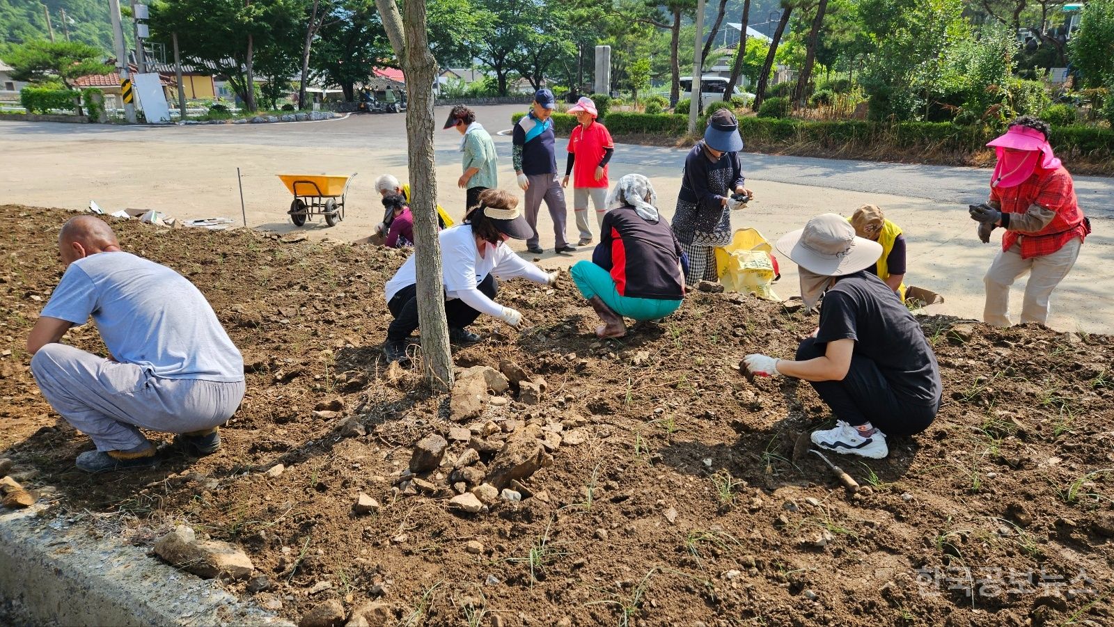기사 사진