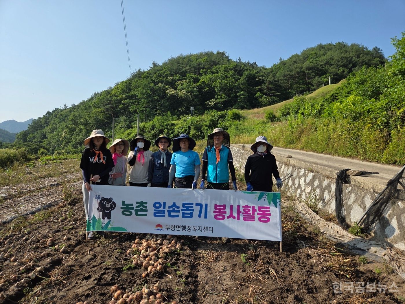 기사 사진
