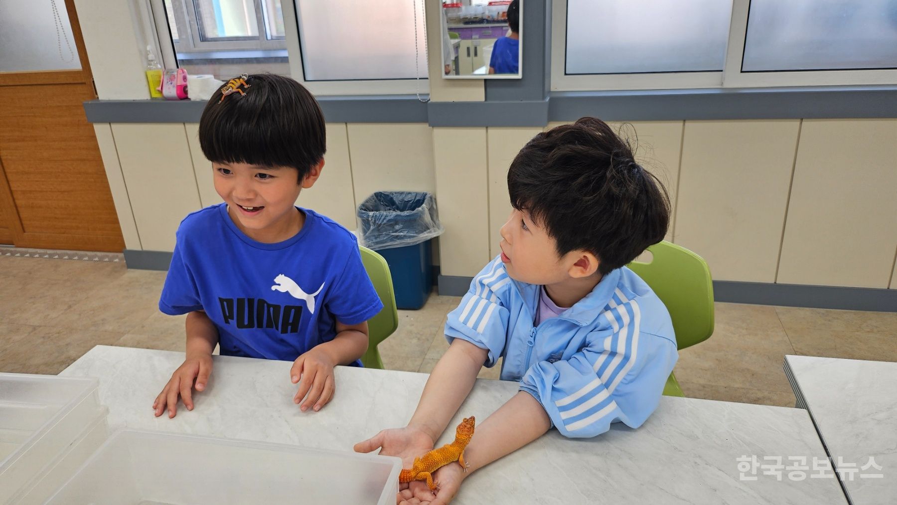 기사 사진