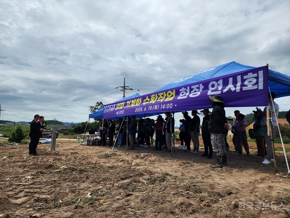 기사 사진