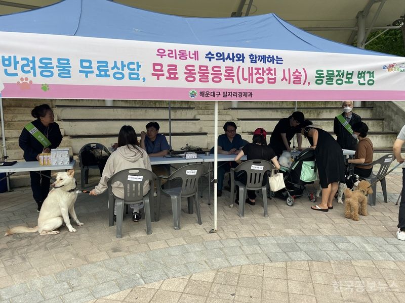 해운대구, 상반기 찾아가는 반려동물 무료상담소 운영 기사 사진