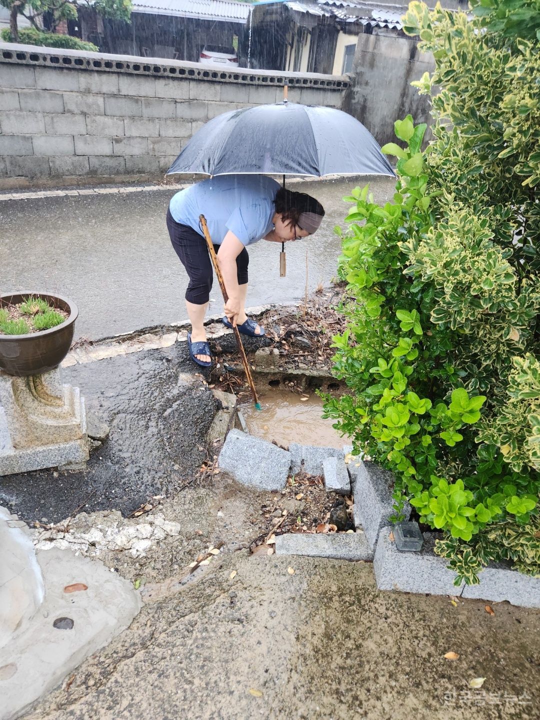 기사 사진