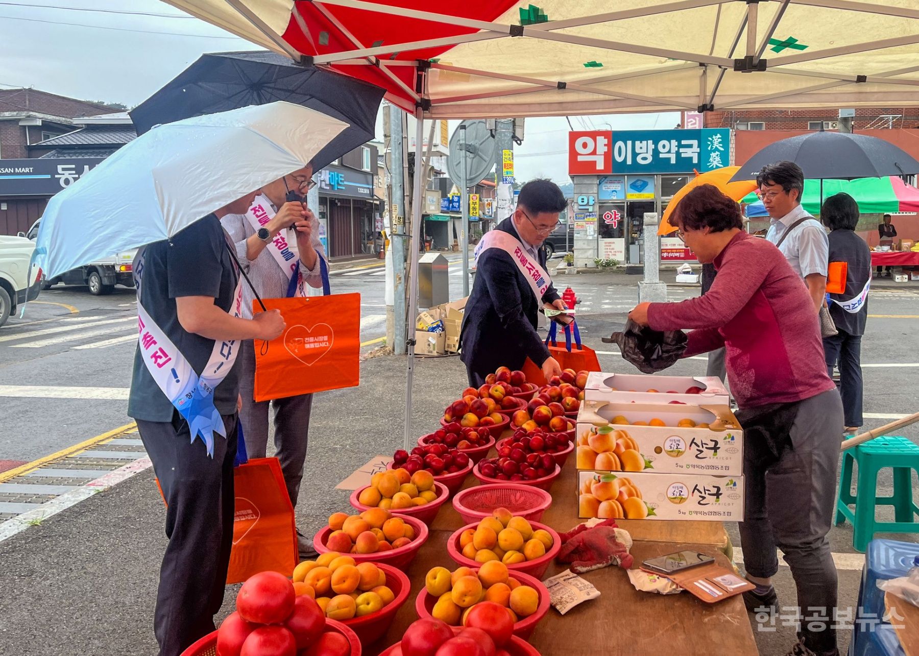 기사 사진