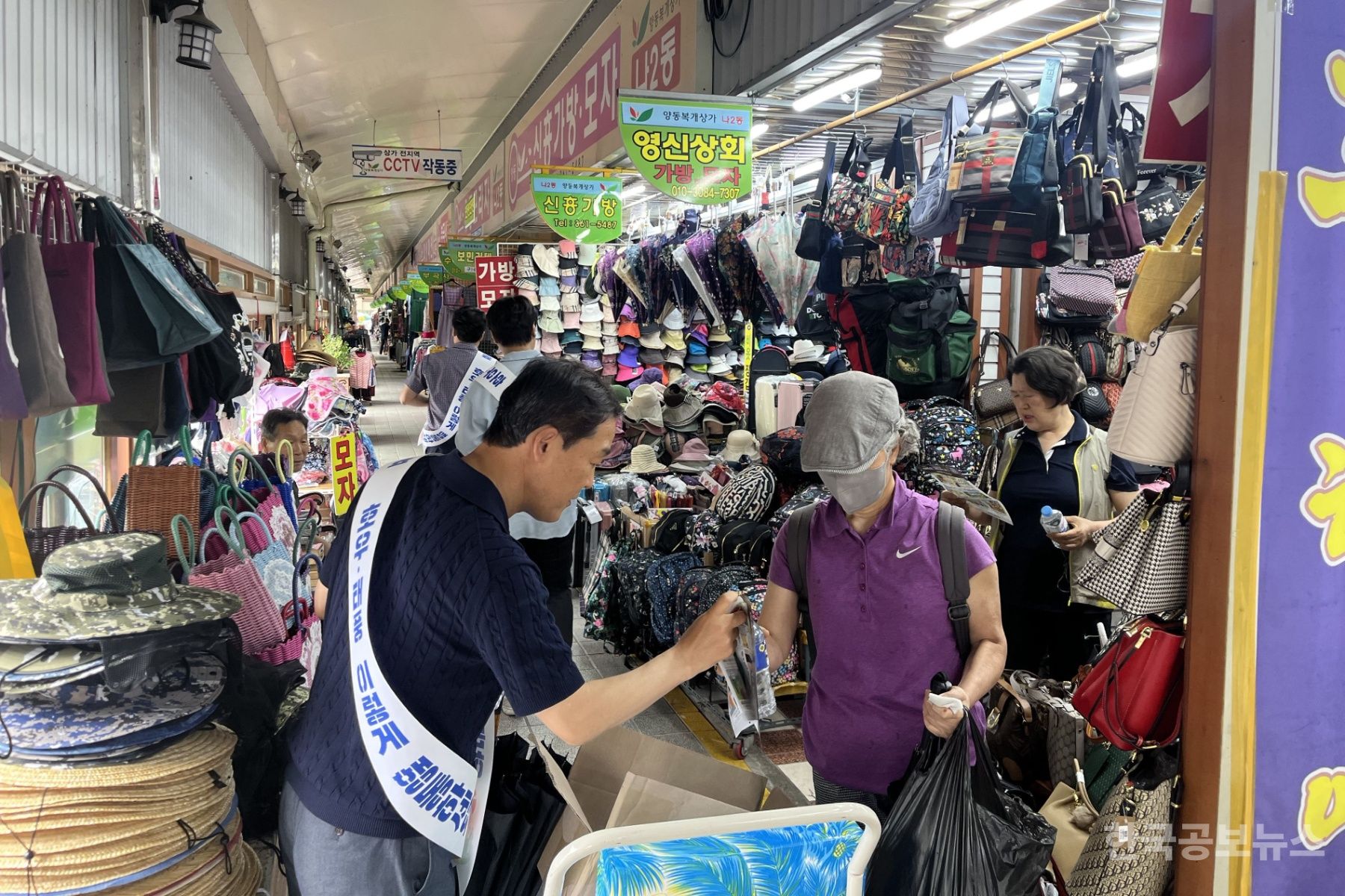 기사 사진