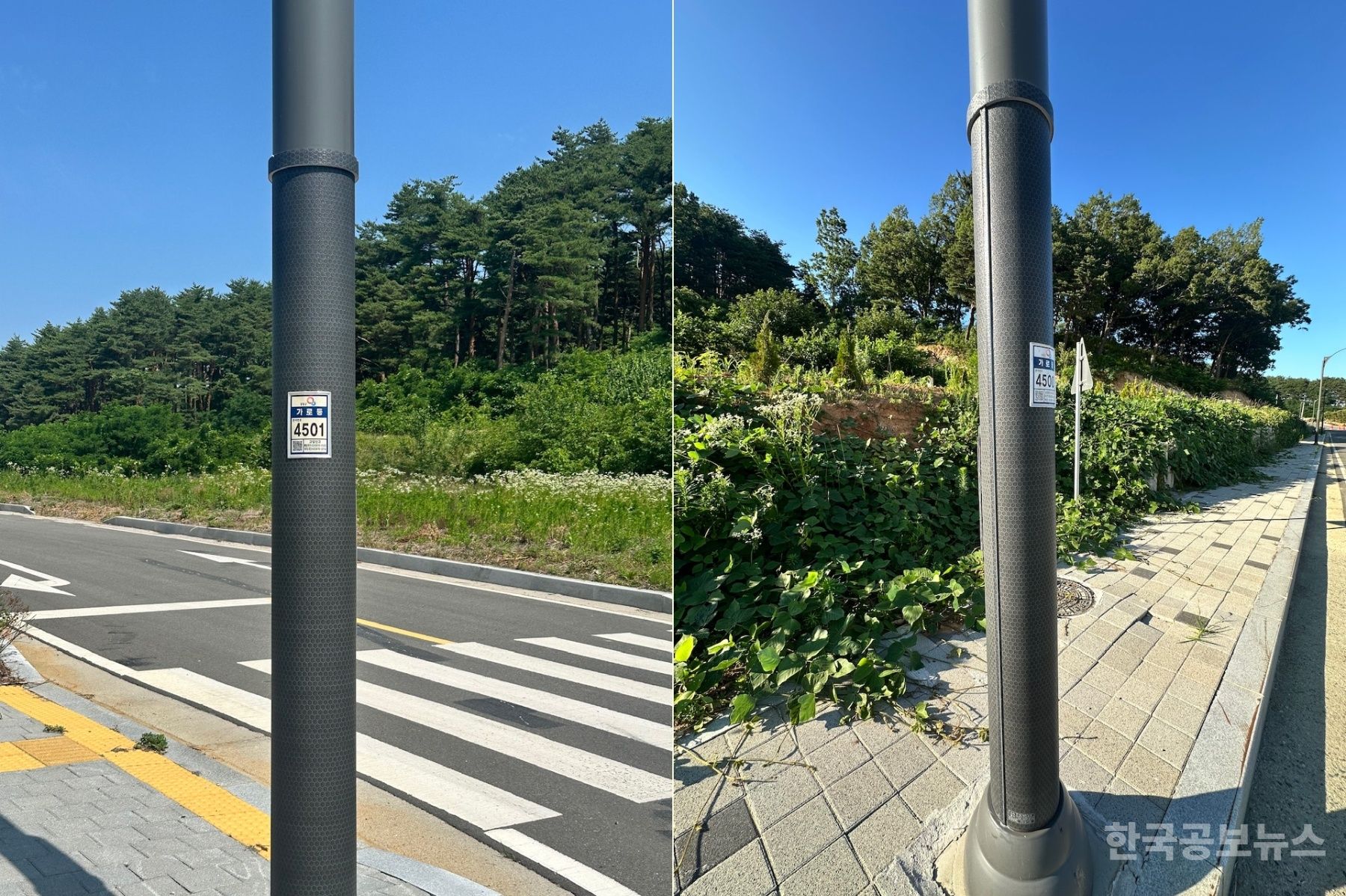 양양군, 주요 도로에 불법광고물 부착방지 시트 설치 기사 사진