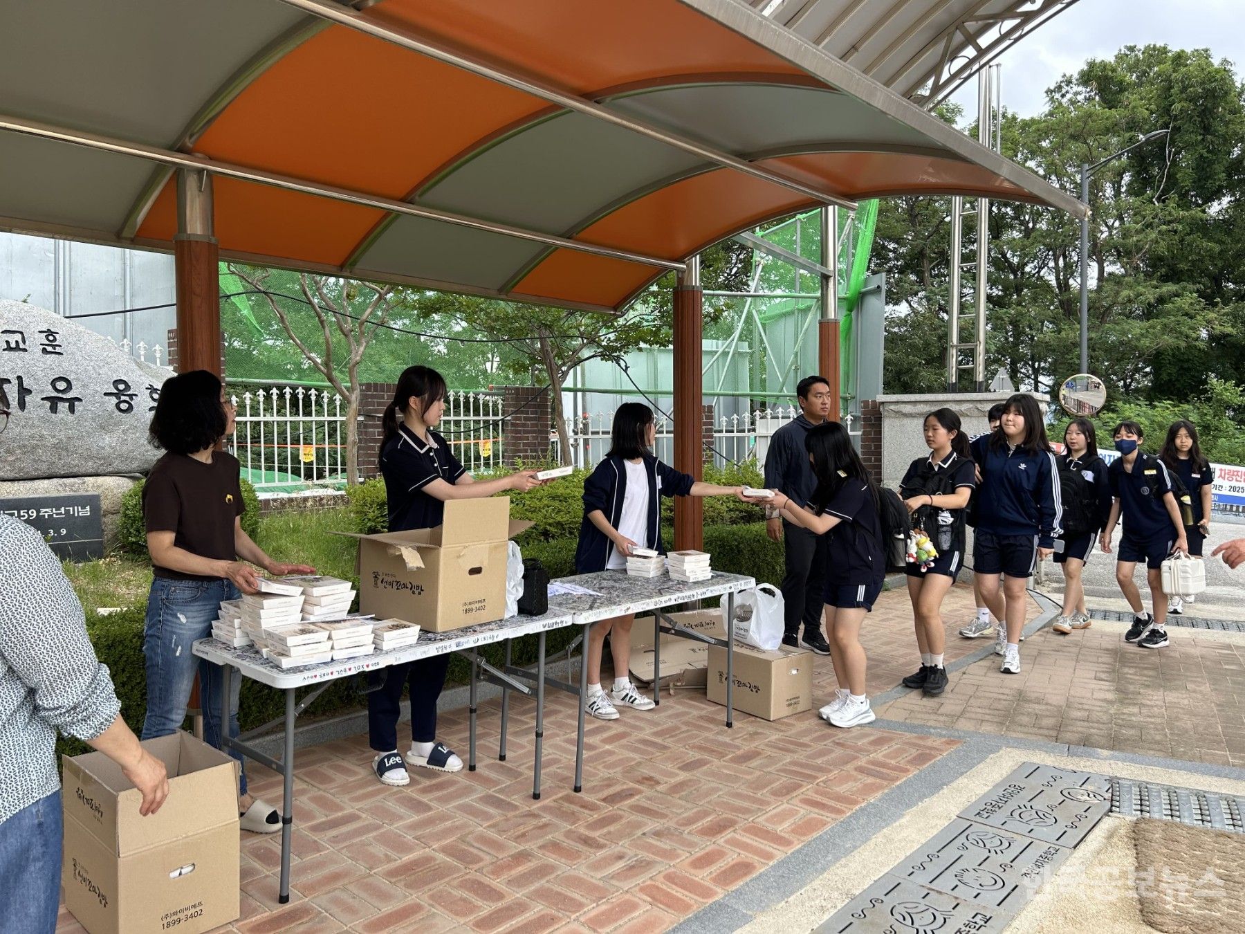 기사 사진