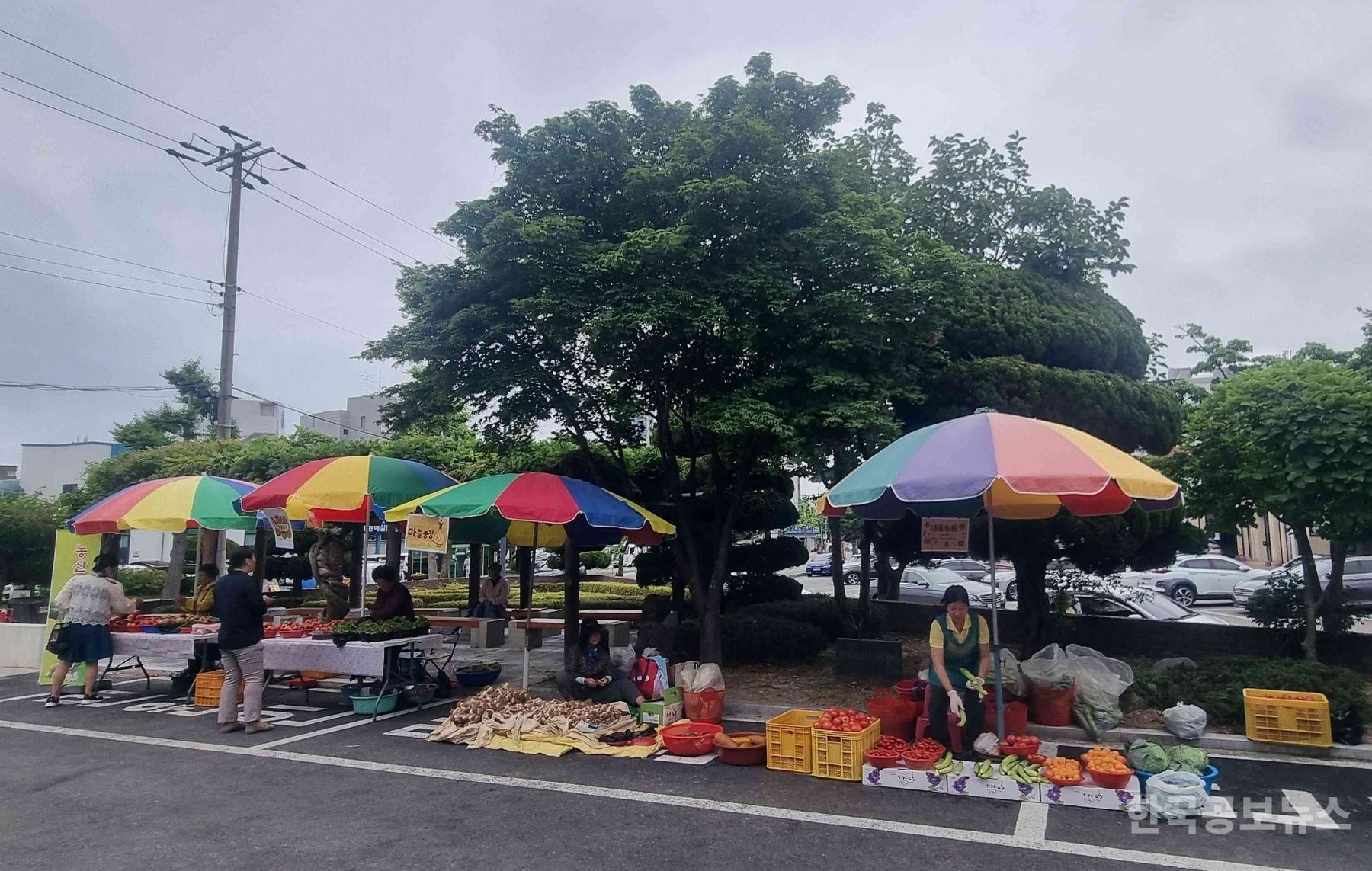기사 사진