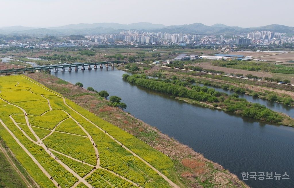 세종시, 미호강 유역 수질개선 추진 기사 사진