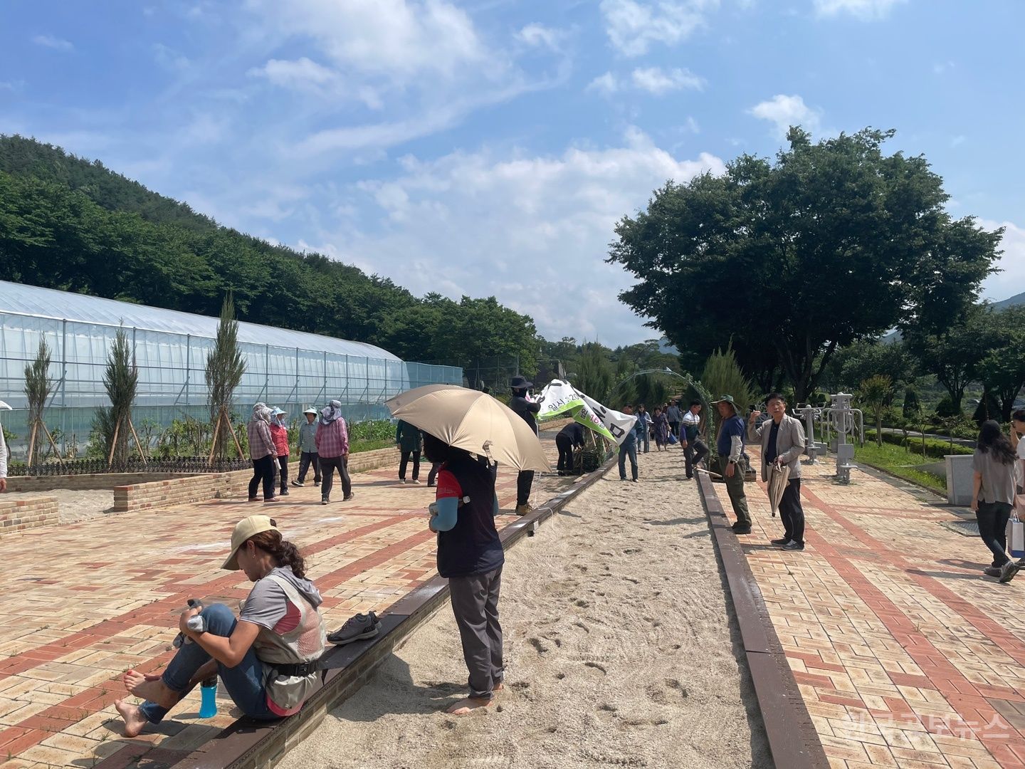 기사 사진