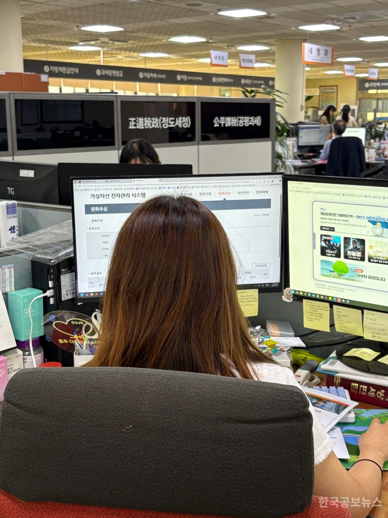 기사 사진
