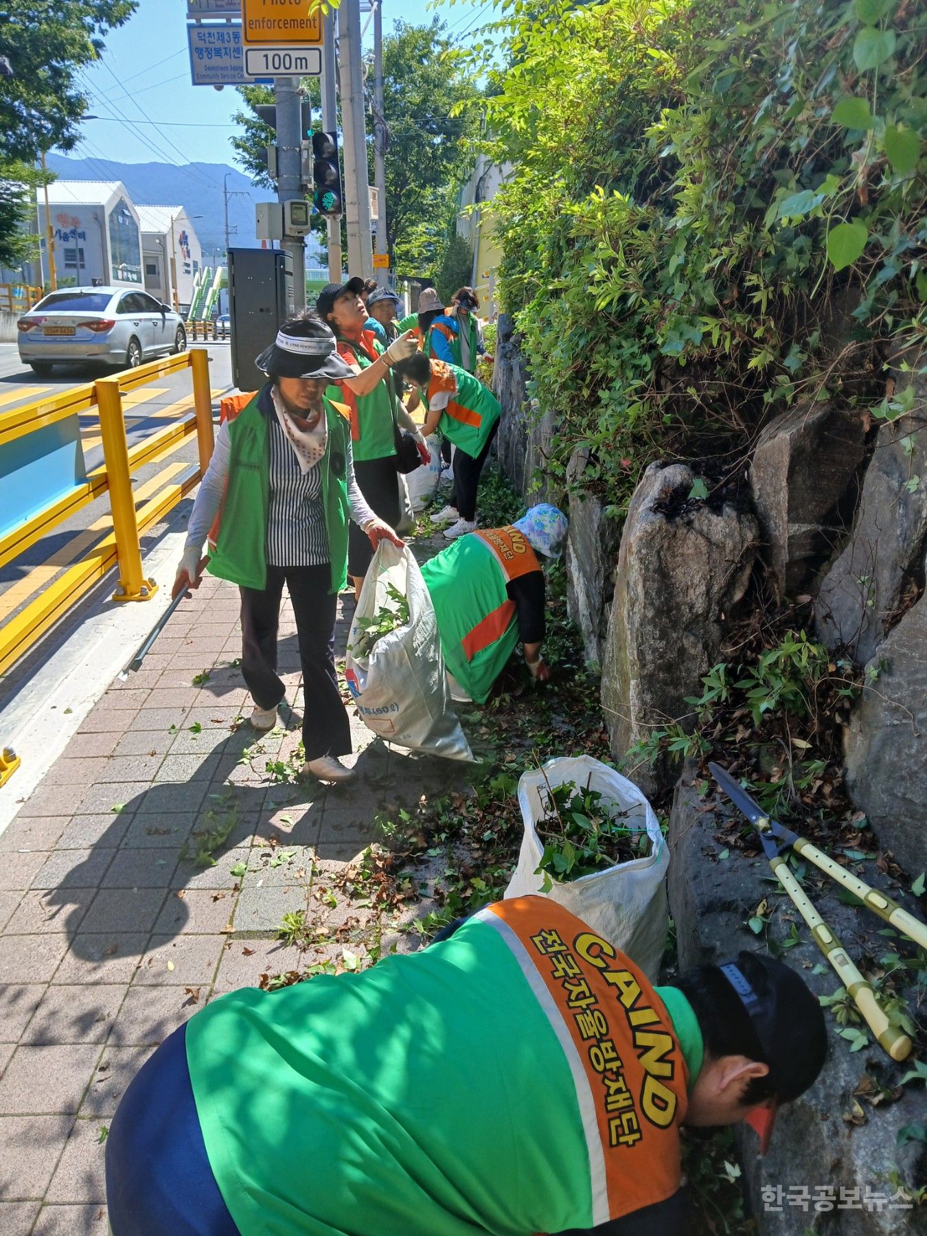 부산 북구 덕천3동 자율방재단, 동 청사 주변 및 등산로 환경정비 실시 기사 사진