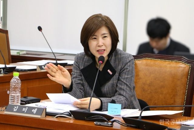 野 김미애, 'K-컬쳐 3법' 발의 "도심융합특구를 문화산업 거점으로 지정" 기사 사진