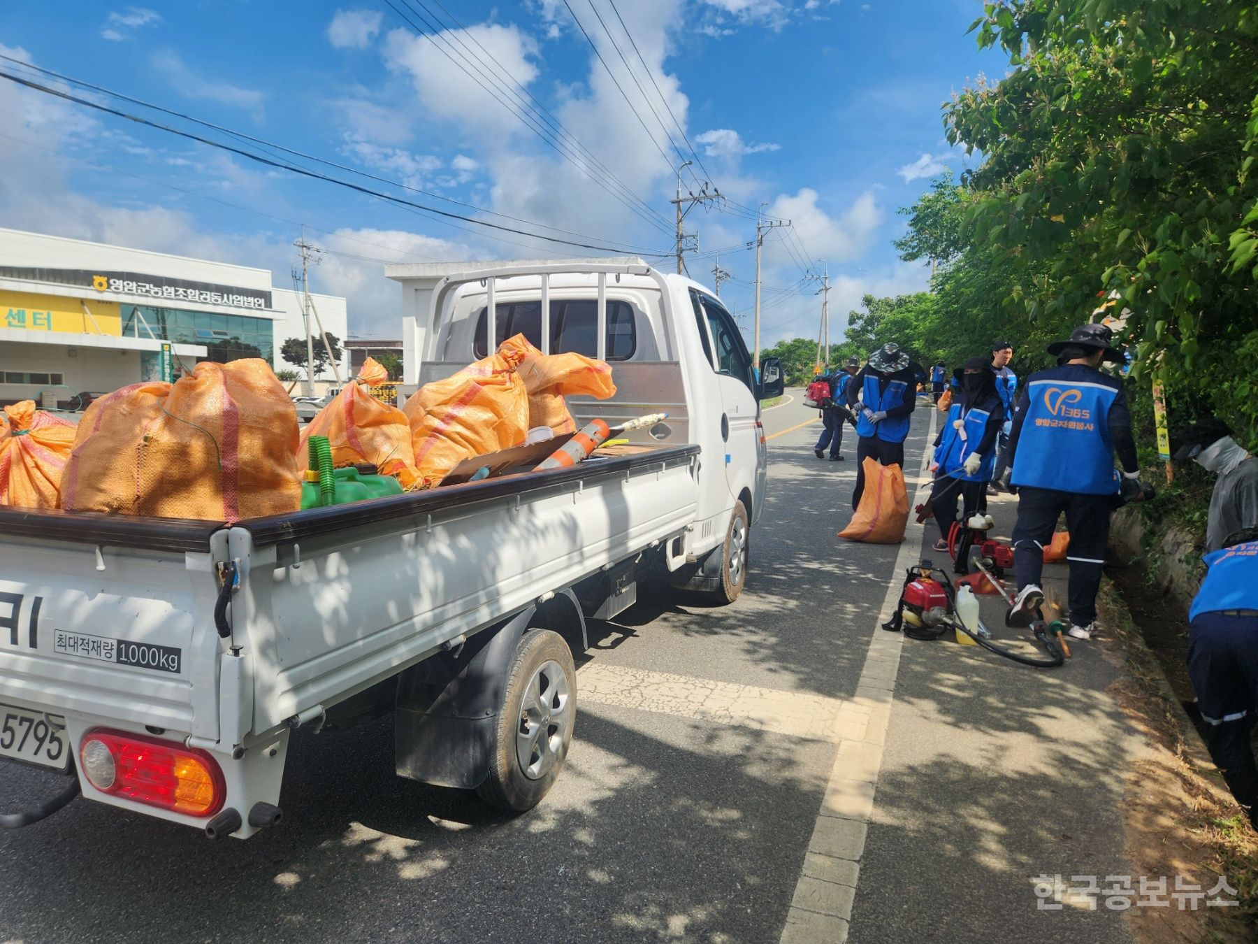 기사 사진