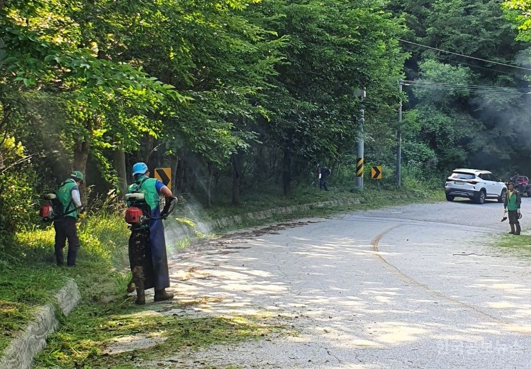 기사 사진