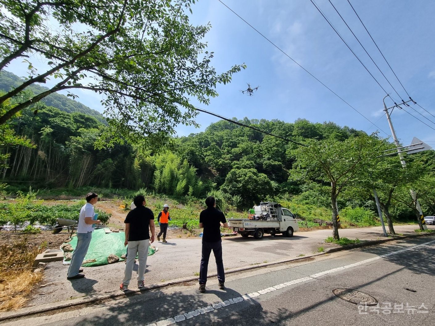 기사 사진