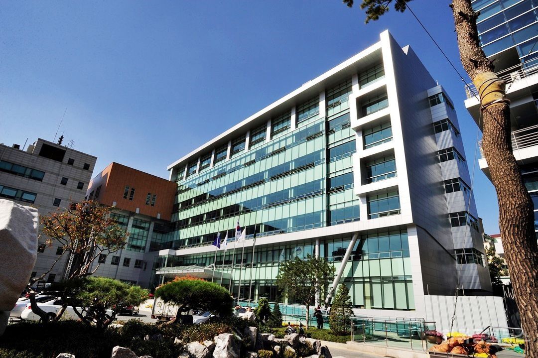 은평구, 여름방학 청소년 생활체육 특강교실 운영! 기사 사진