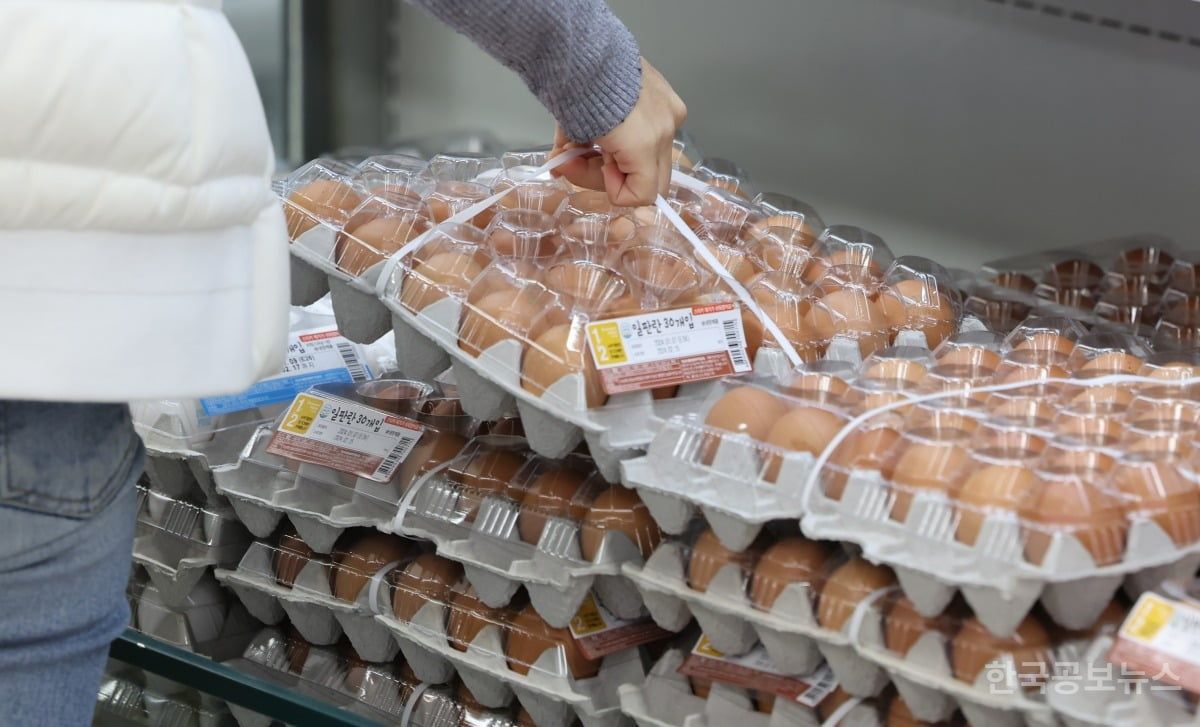 계란 한판 값 7200원 돌파...3개월 연속 7000원대 기록 기사 사진