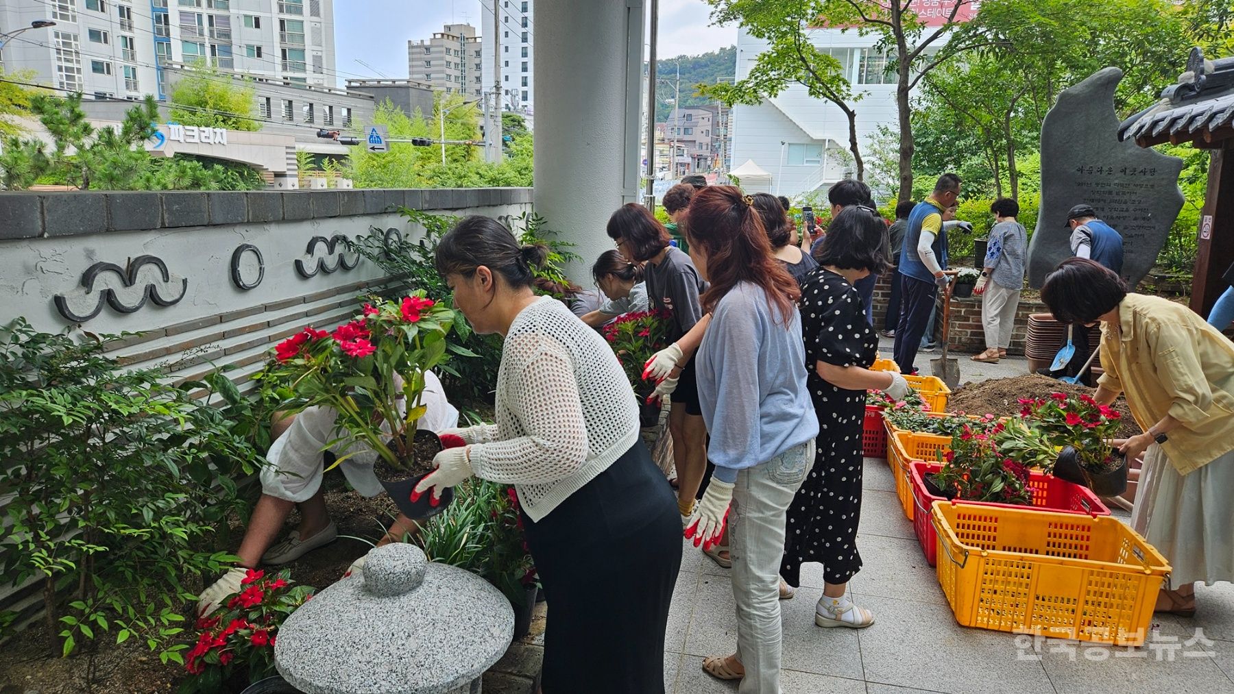 기사 사진