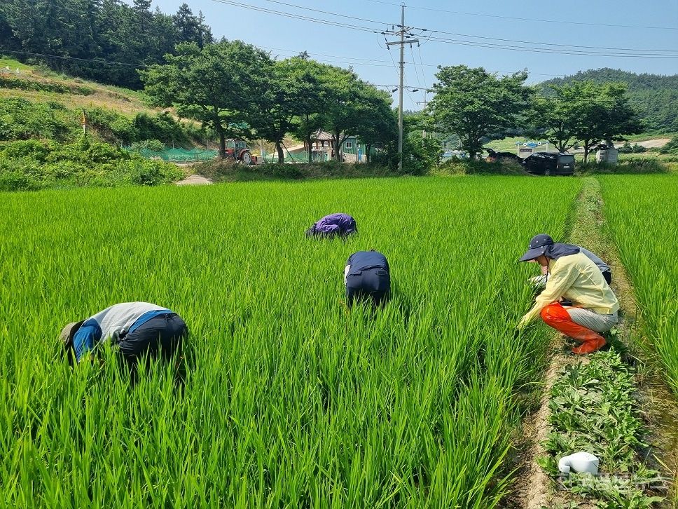 기사 사진