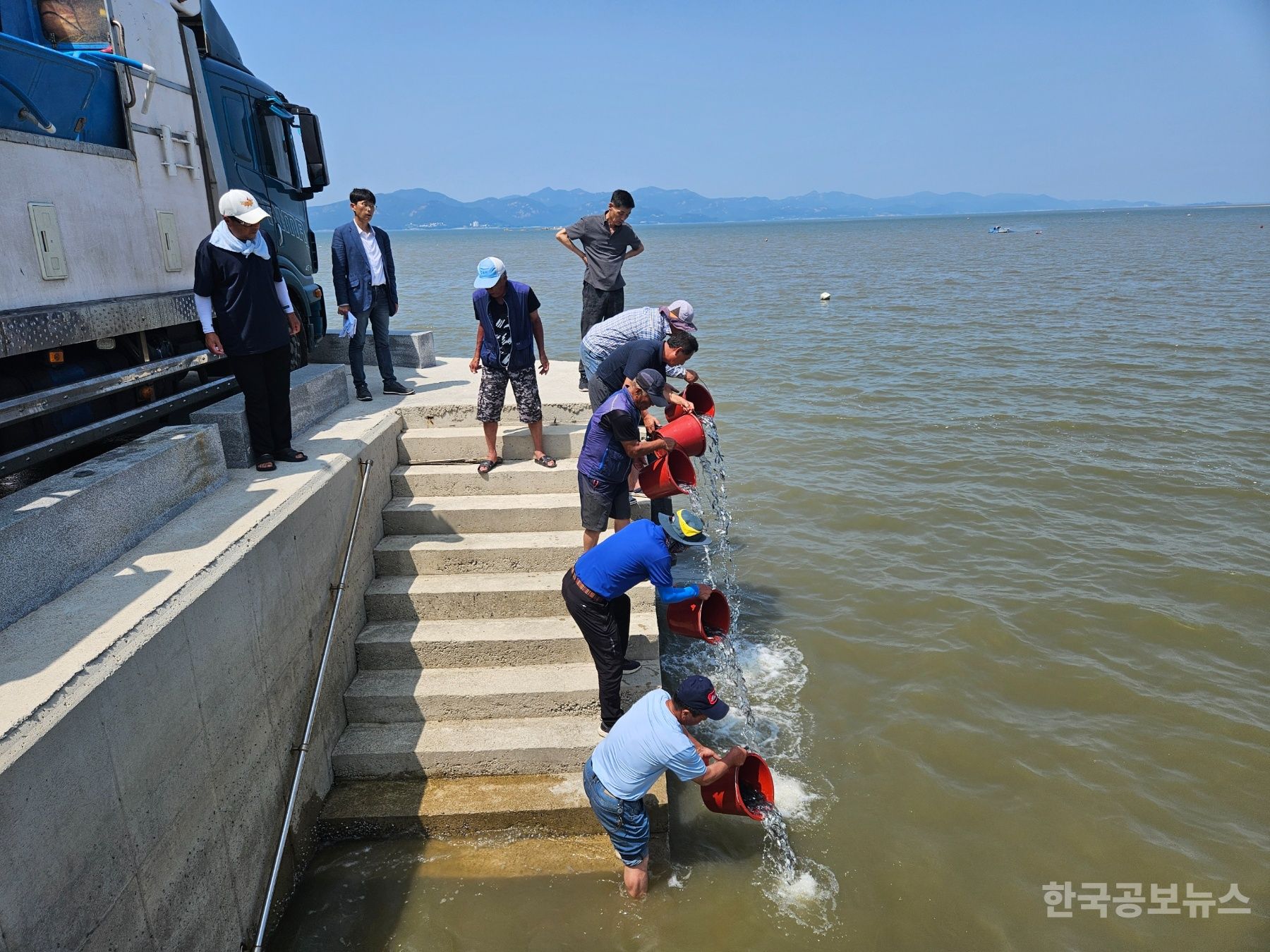 고창군, 넙치·감성돔·메기 등 수산종자 방류 기사 사진