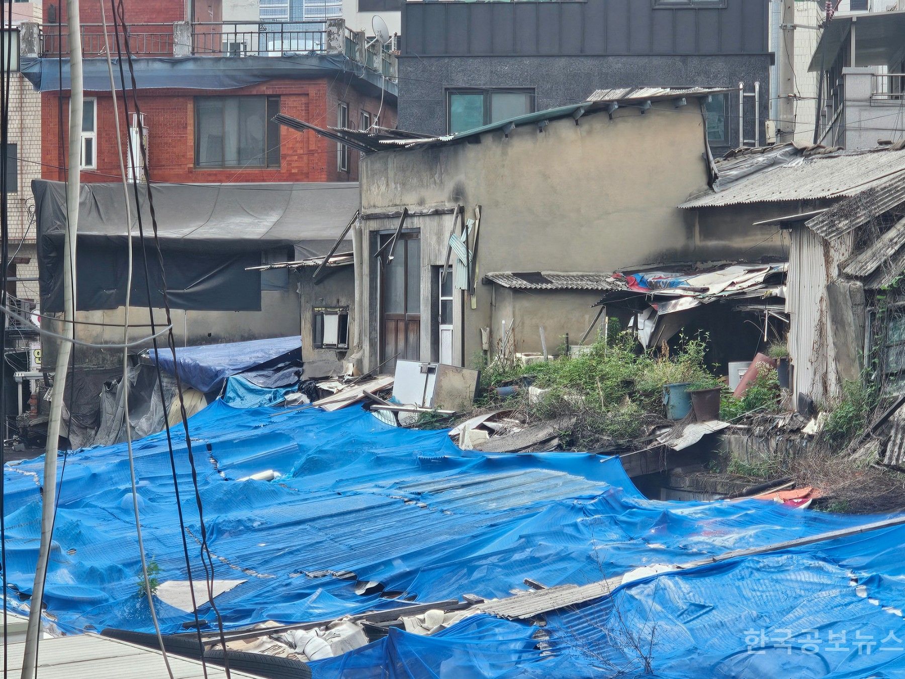 [김만규의 시선] 기자가 용산구 용문시장에 주목한 이유…“이곳이 무너지면, 시장 전체가 무너진다” 기사 사진