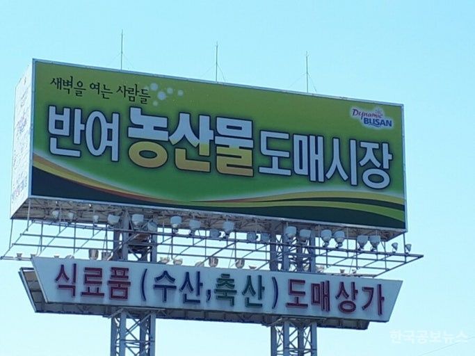 부산시 감사위원회, 도매시장 농산물 유통관리 개선 이끌어… 시민 안전 최우선 기사 사진