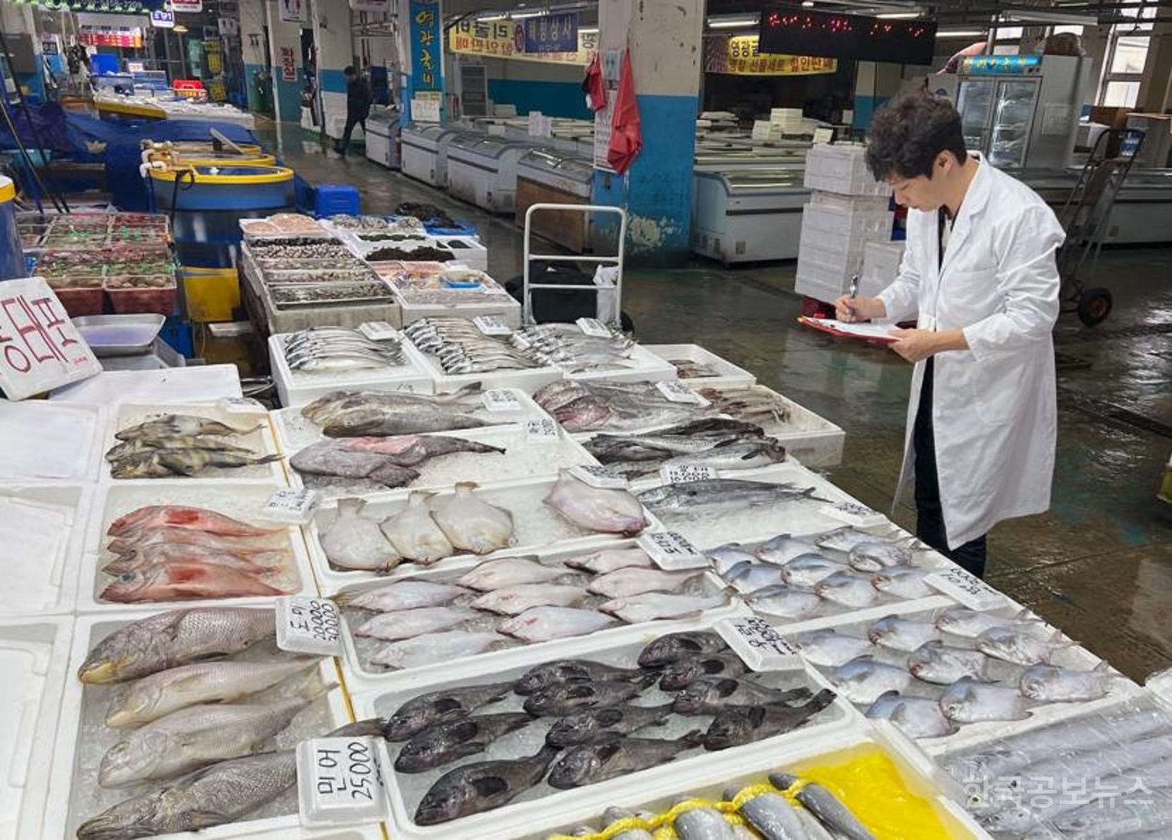 기사 사진