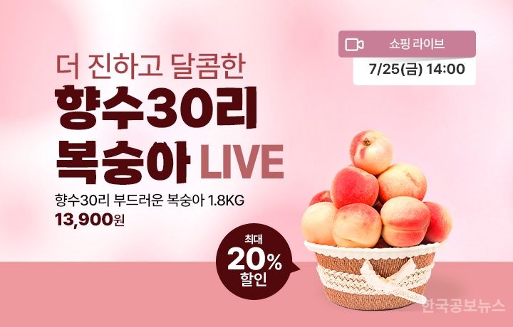 2025 향수옥천 포도복숭아 축제, 온라인 기획관과 라이브커머스 운영 기사 사진