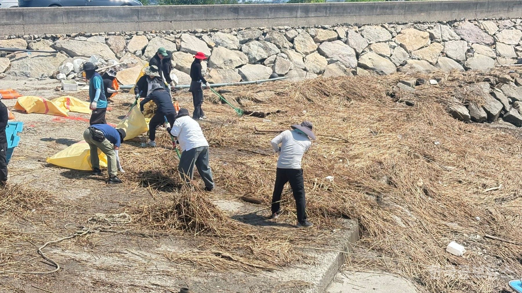 기사 사진
