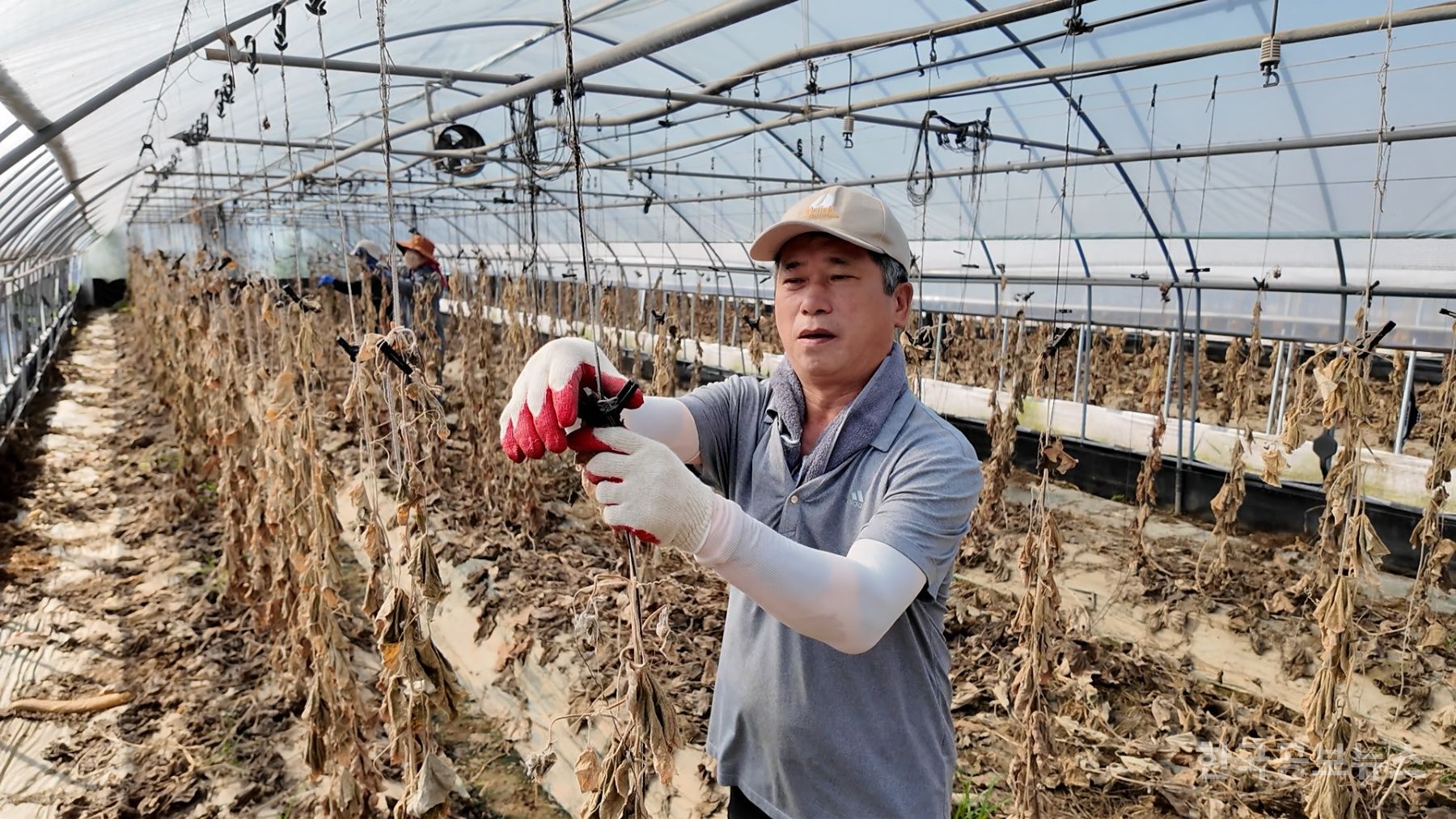 기사 사진