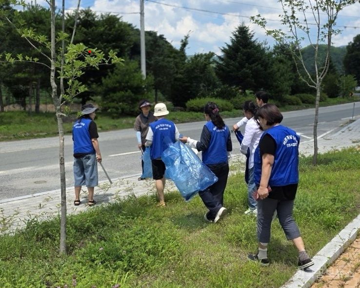 기사 사진