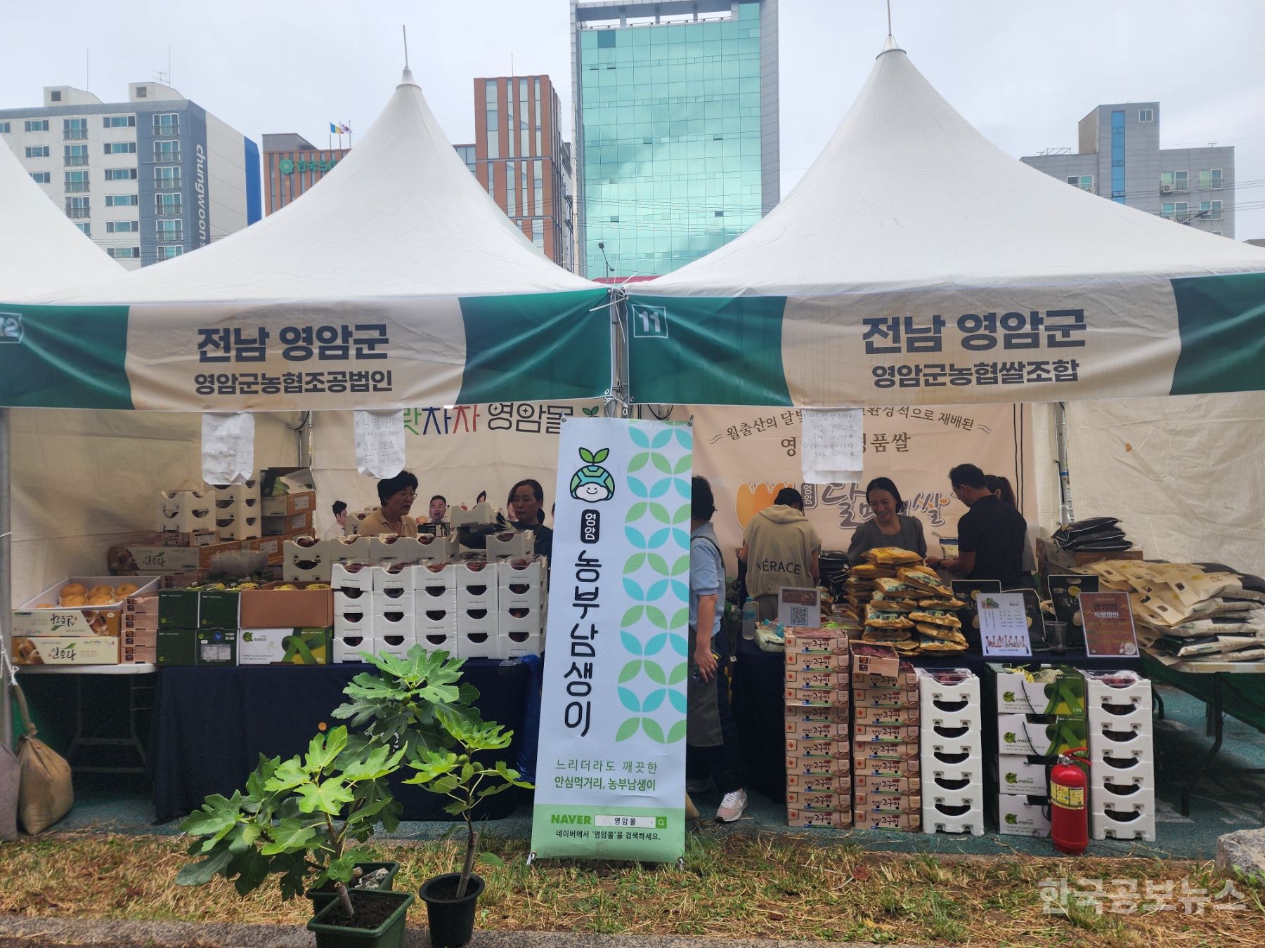 기사 사진