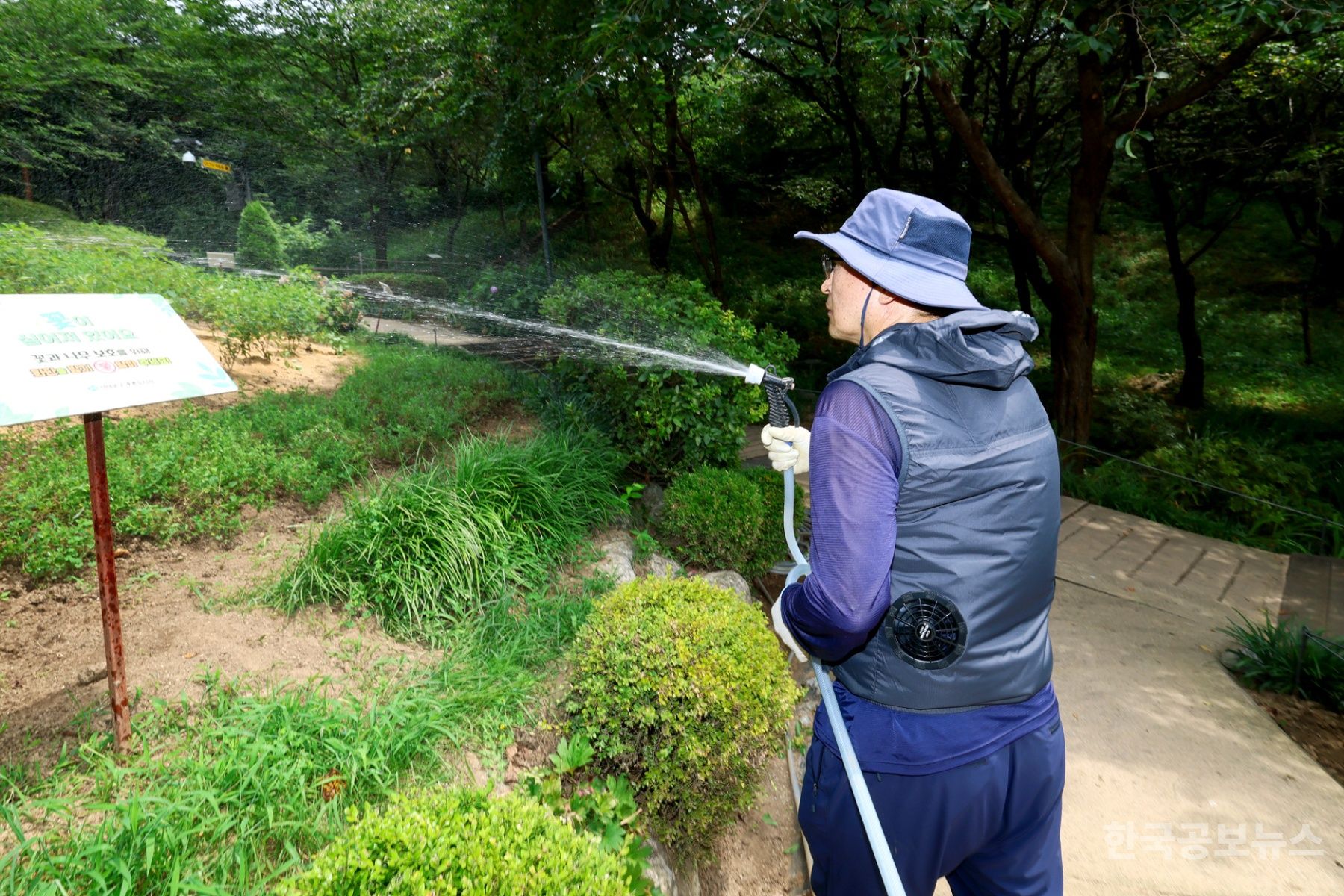 기사 사진
