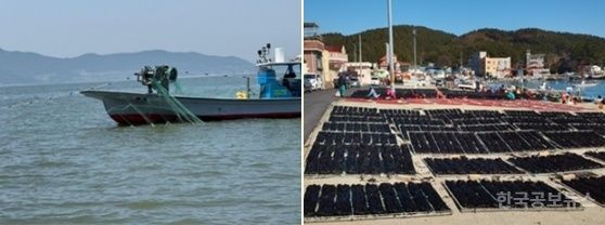 부산시, 어업인 공익수당 지원… '지속 가능한 수산업을 위한 디딤돌' 기대 기사 사진