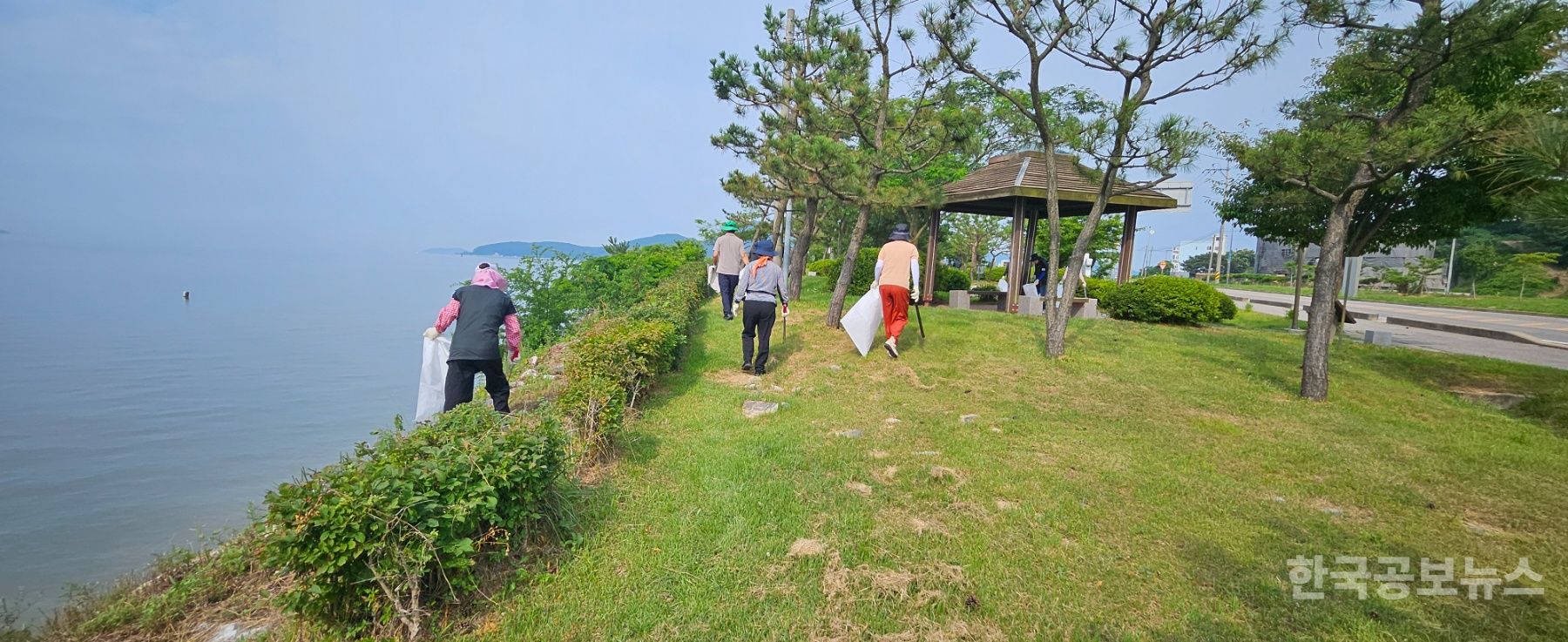 기사 사진