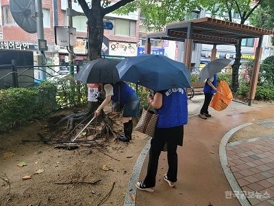 기사 사진
