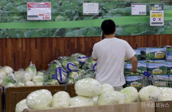 '폭염·폭우' 반복에 배추·토마토 가격 한달 사이 70%↑  기사 사진