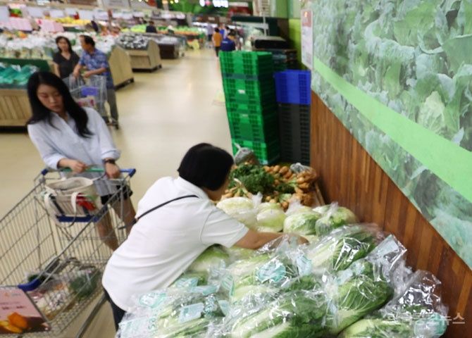 7월 소비자물가 2.1%↑ 두 달 연속 2%대 …역대급 폭염에 먹거리 가격 고공행진 지속 기사 사진